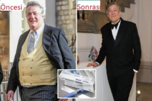 stephen fry