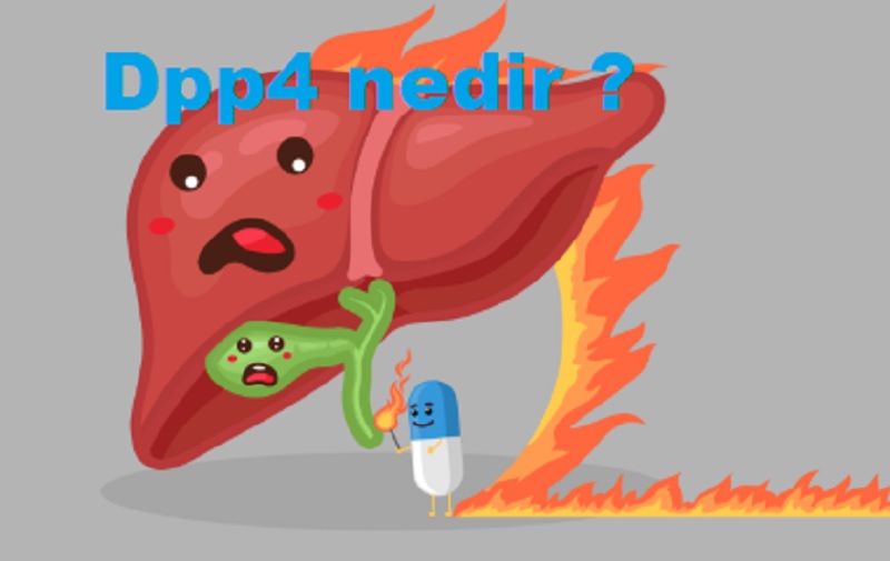Dpp4 nedir
